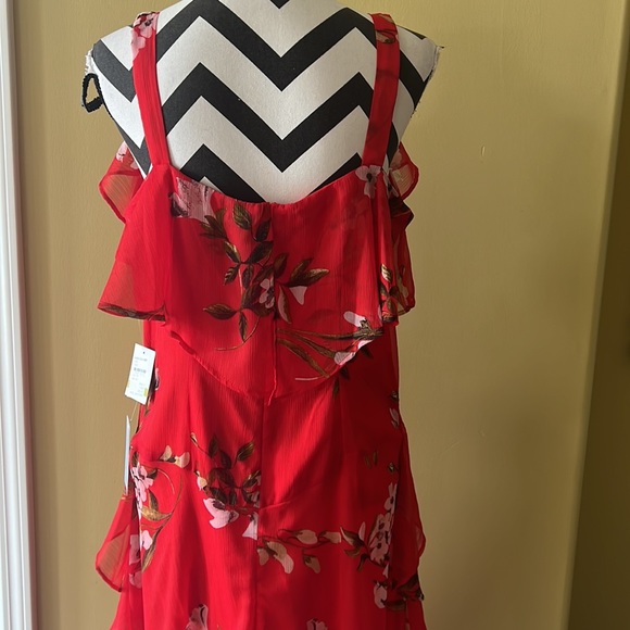 Taylor - Picture 6 of 11